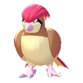 Tauboga