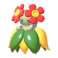 Blubella
