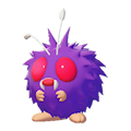 Bluzuk