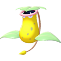 Sarzenia