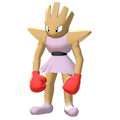 Nockchan
