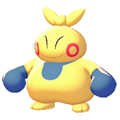 Makuhita