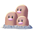 Digdri