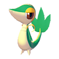 Serpifeu