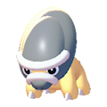 Schilterus