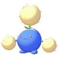 Papungha